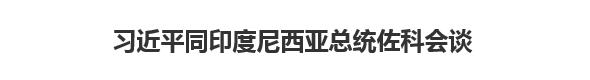 【人民日报】习近平同印度尼西亚总统佐科会谈